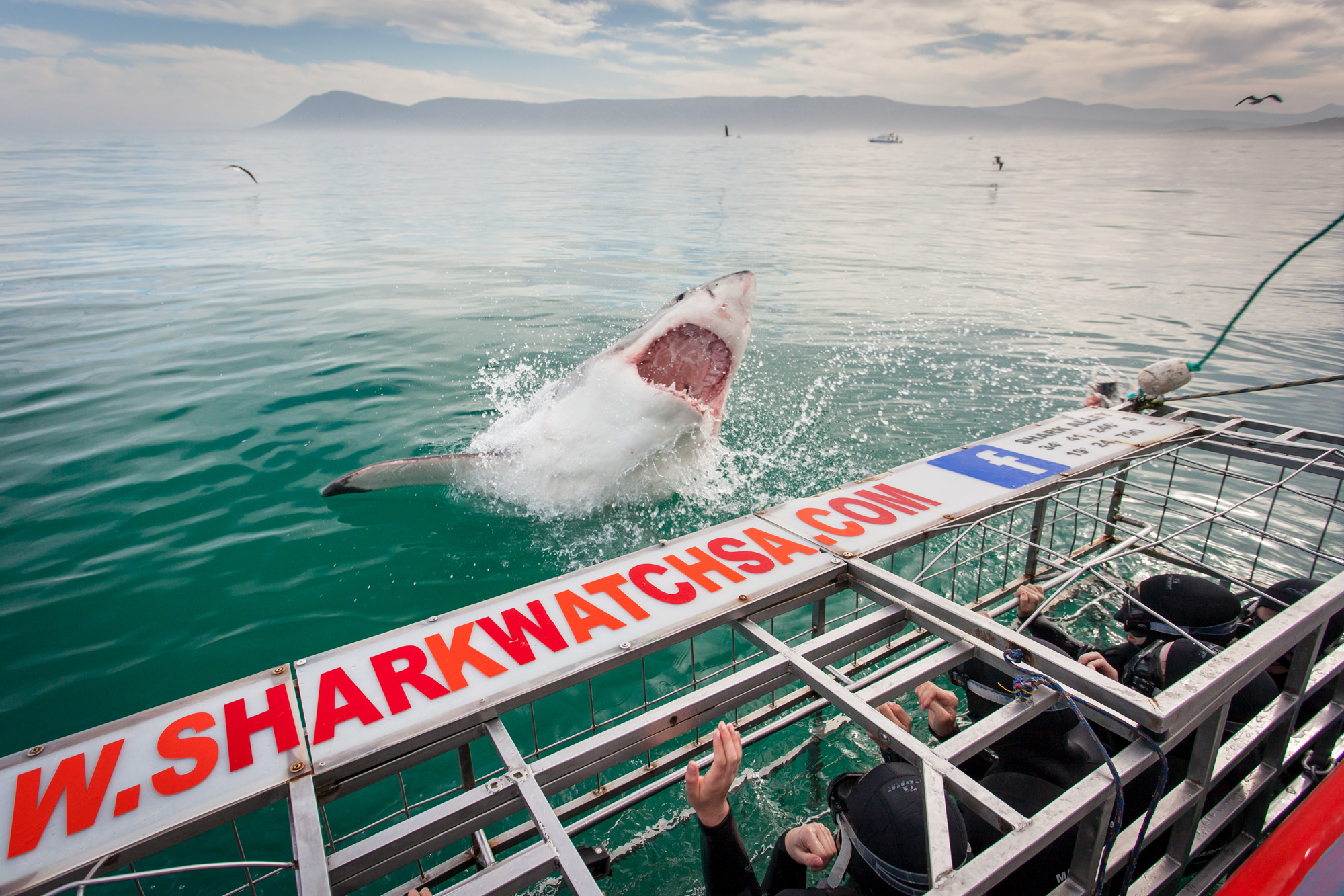 Luxurious stay & shark cage diving in Gansbaai, South Africa Grootbos