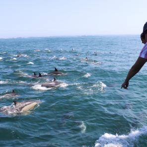 web-grootbos-experience-marine-big-five.jpg
