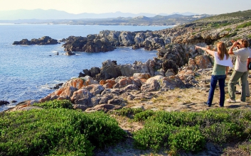 web-grootbos-experience-whale-watching-land-01.jpg
