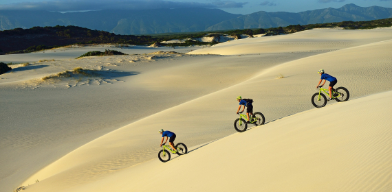 grootbos-fatbike-experience.jpg