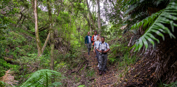 grootbos-web-experience-forest-hike.jpg