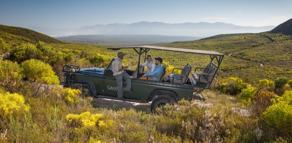 web-grootbos-experience-flower-safari-04.jpg