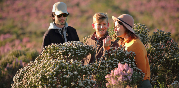 grootbos-web-immersive-wellbeing-experience.jpg