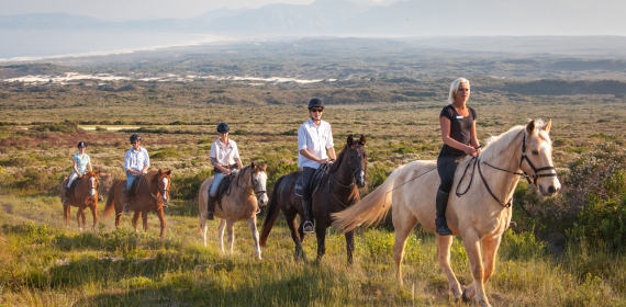 web-grootbos-experience-horse-riding-reserve-02.jpg
