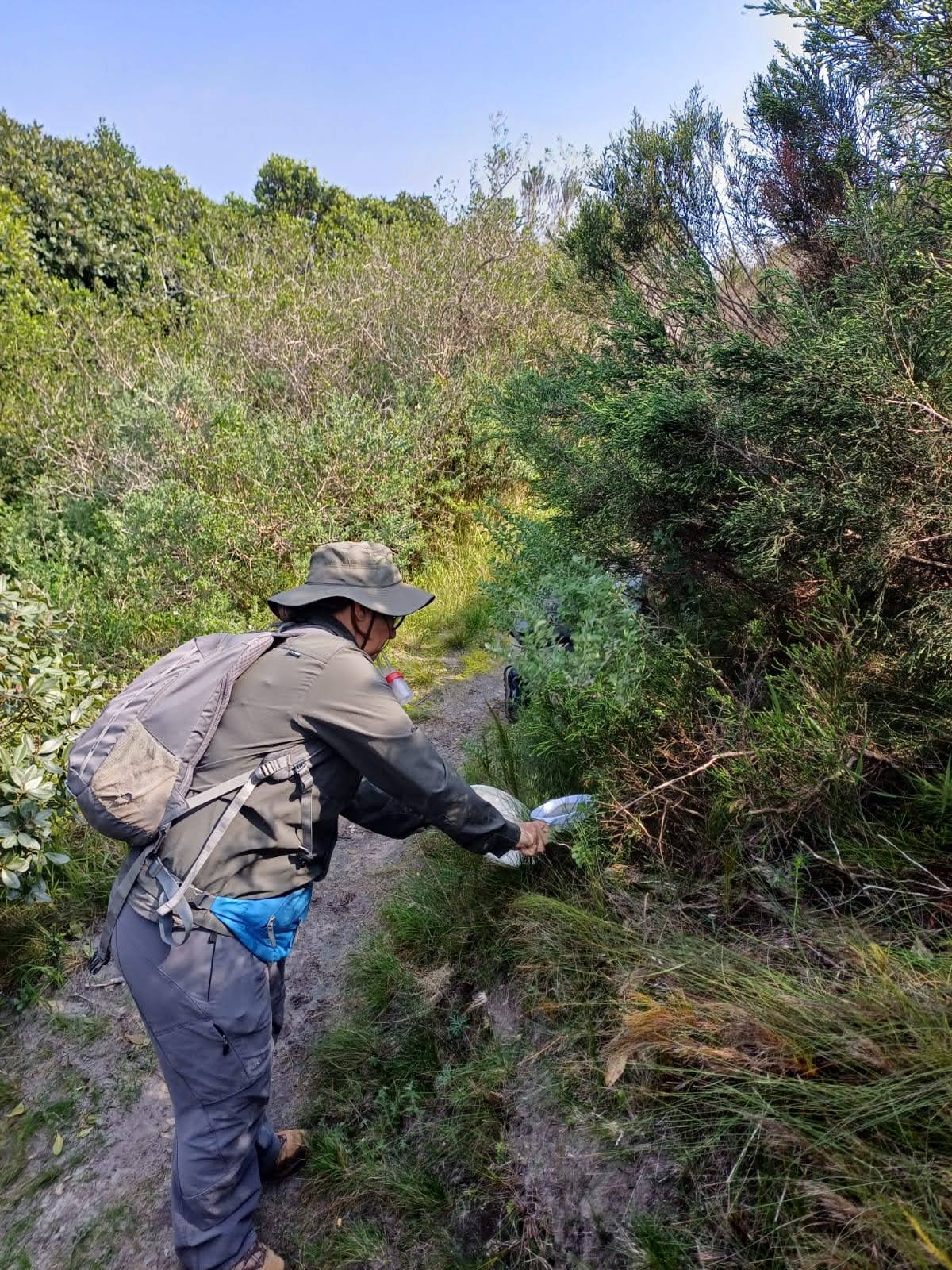 Grootbos Foundation Monthly Update | September 2024 :: Grootbos Private ...