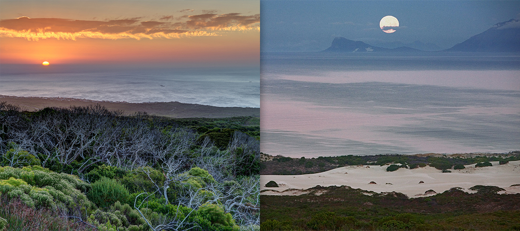 grootbos-after-sunset.jpg