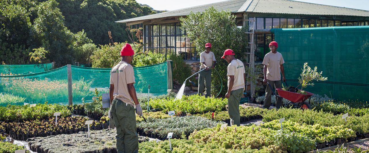 Good for the people, earth and our kitchen