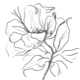 cta-strip-icon-1.png