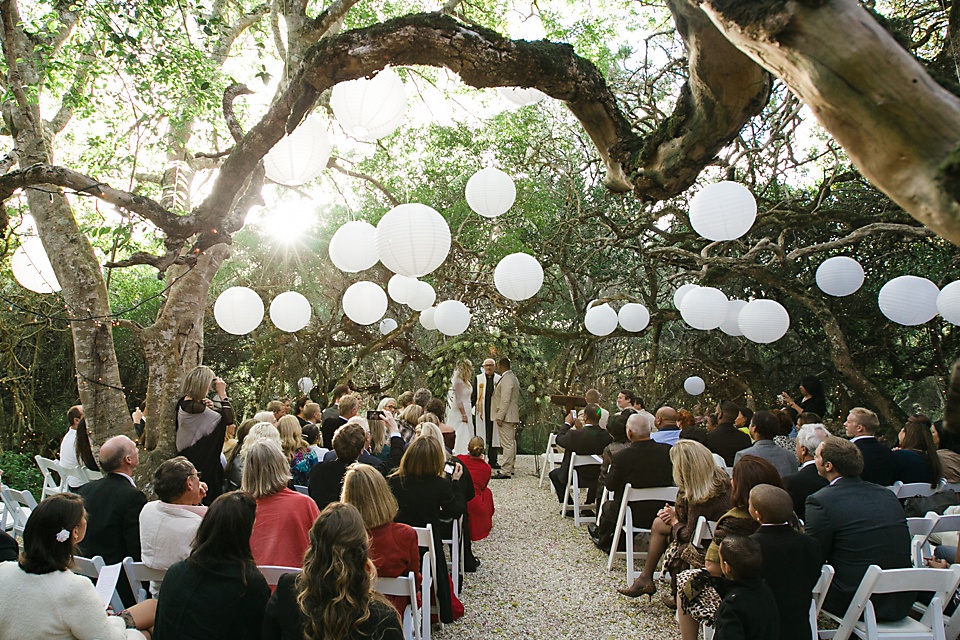 Love in the magical milkwoods