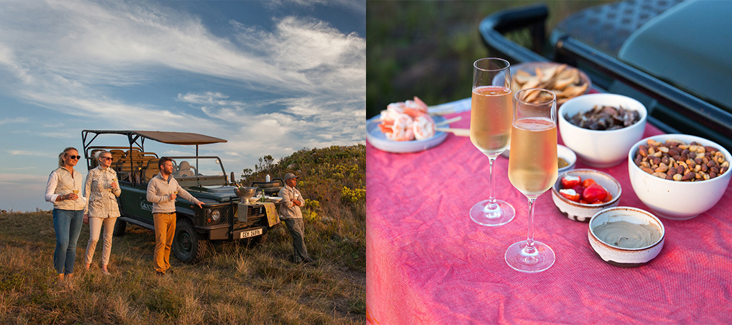 grootbos-after-sunset-reserve.jpg