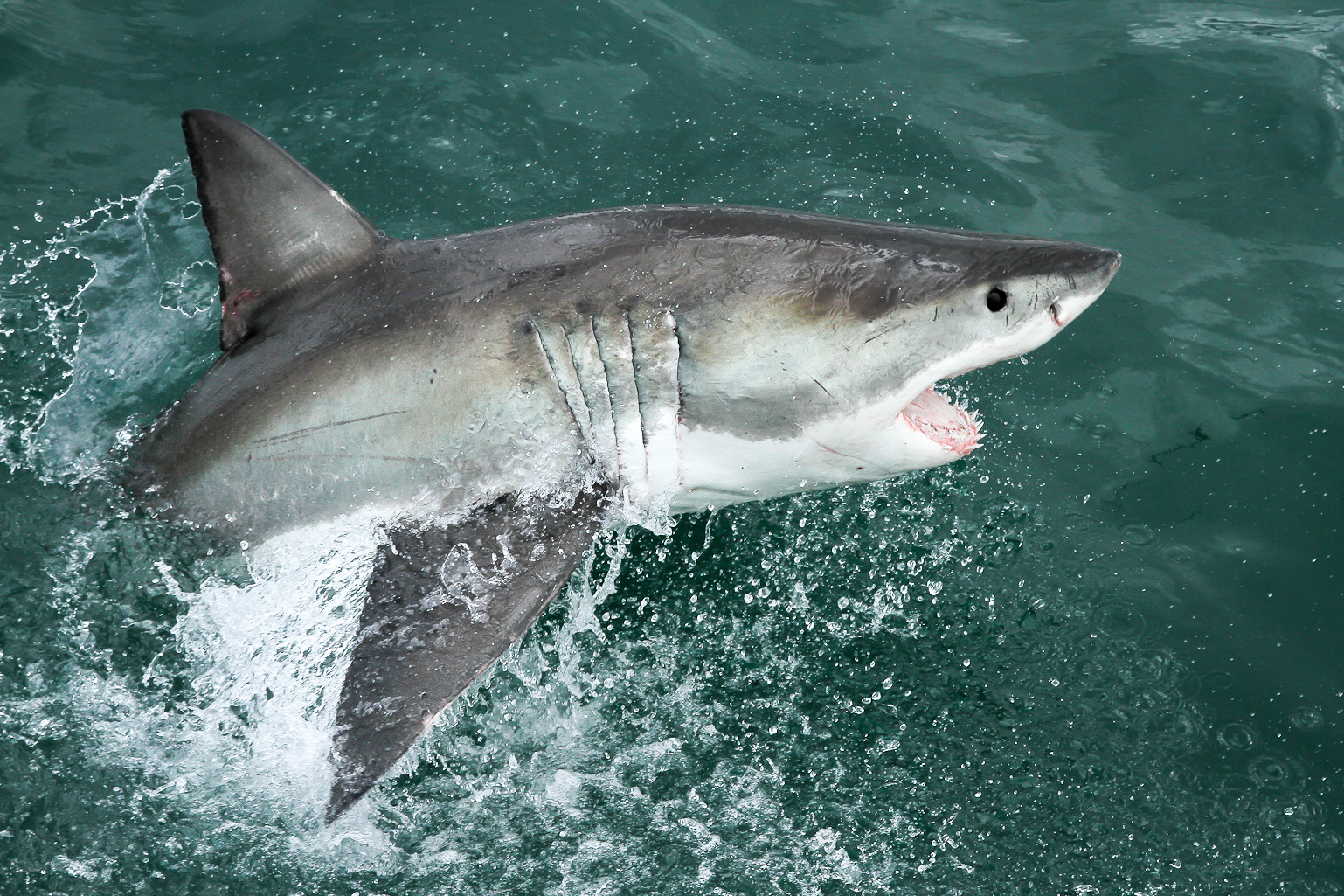 Create unforgettable memories