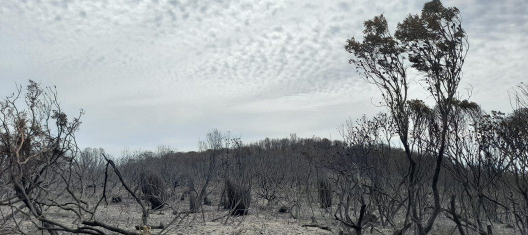 The controlled burn was successful thanks to the excellent planning and teamwork.