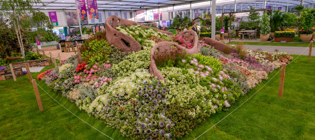 Grootbos-Chelsea-Flower-Show-Fynbos-Displays.jpg
