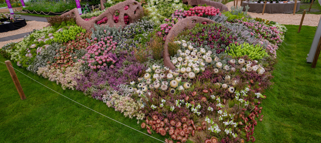 Grootbos-Chelsea-Flower-Show-Fynbos-Display-Leon-Kluge.jpg