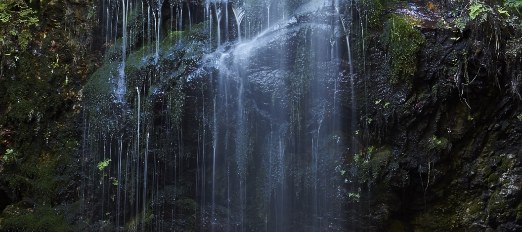 1. Sunset on the Klein River. 2. Calamari on Onrus beach. 3. Uilenkraalsmond (Pics by Thaya)