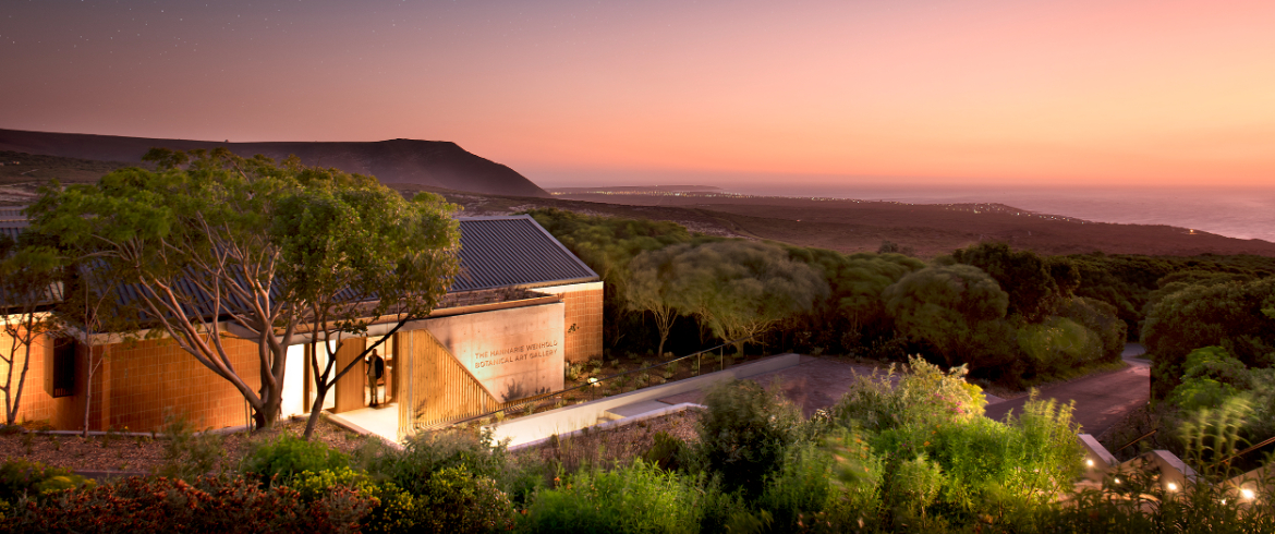 grootbos-florilegium-art-gallery-hightlights-facilities-nature-inspired.jpg