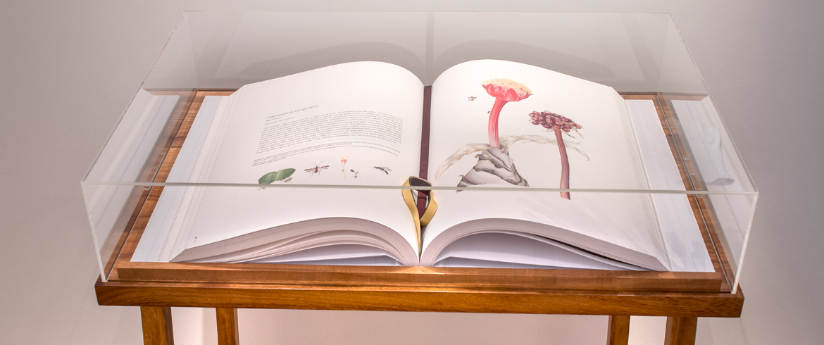 grootbos-florilegium-art-gallery-hightlights-facilities-floreligium-book.jpg