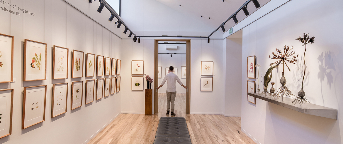 grootbos-florilegium-art-gallery-hightlights-facilities-house-art.jpg