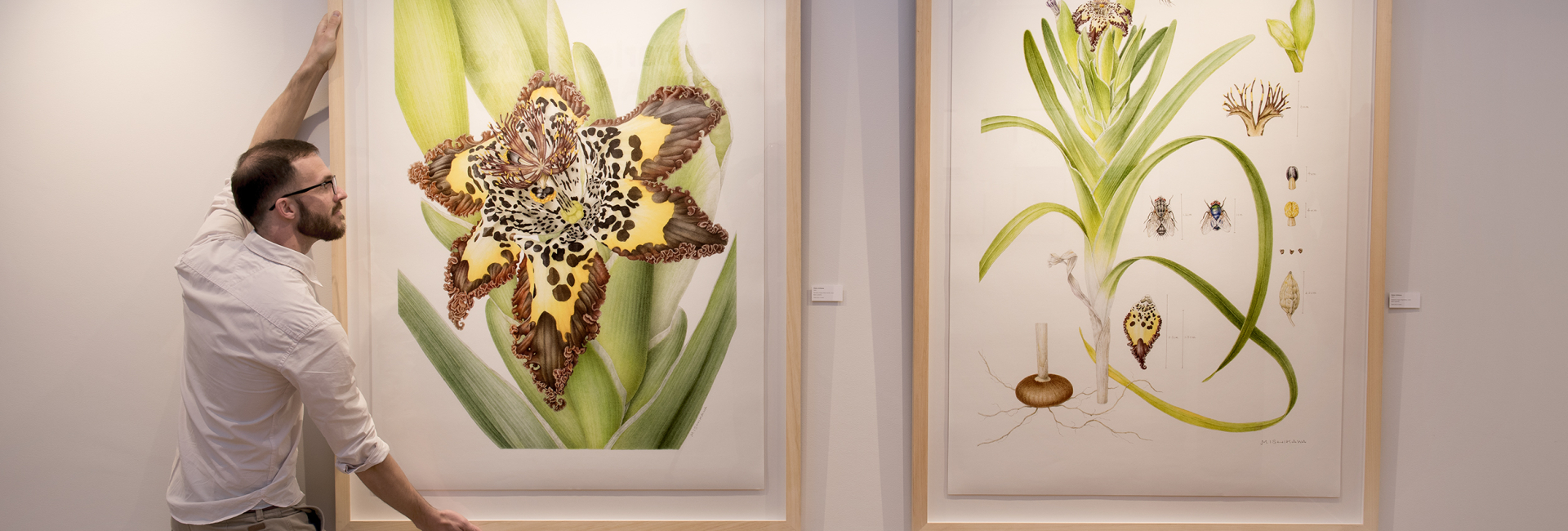 grootbos-florilegium-art-gallery-introduction-gallery-artist.jpg