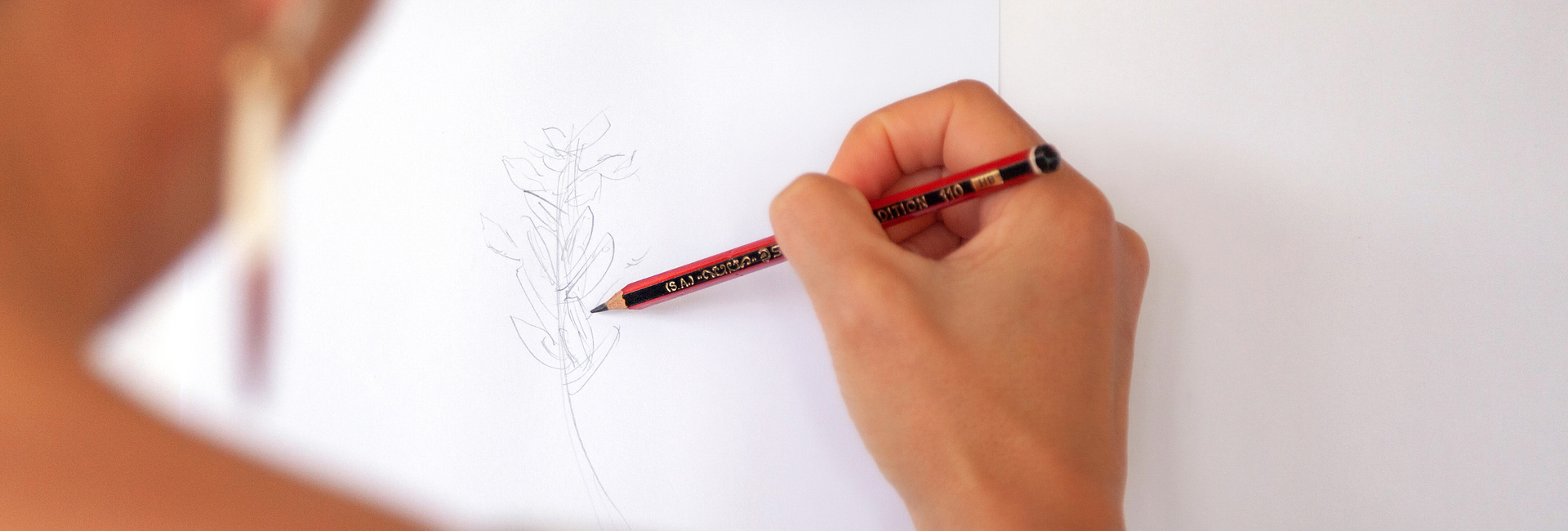 grootbos-web-masterclass-botanical-art-sketch.jpg