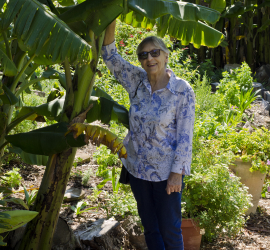 Ann_Norris.jpg Ann Norris