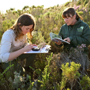 grootbos-florilegium-art-gallery-grootbos-research.jpg