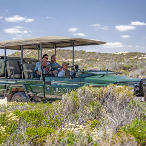 web-grootbos-coastal-safari.jpg