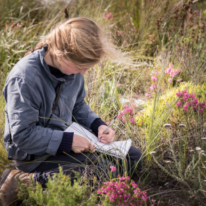 grootbos-web-masterclass-botanical-art-sketch-in-nature.jpg
