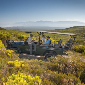 grootbos-florilegium-art-gallery-grootbos-fynbos.jpg