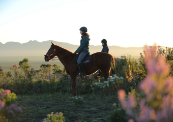 web-grootbos-experience-explore-reserve-on-horse-back.jpg