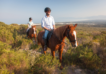 web-grootbos-experience-horse-riding-reserve-03.jpg
