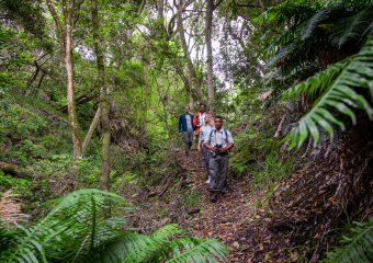 web-grootbos-experience-guided-hikes-on-reserve.jpg
