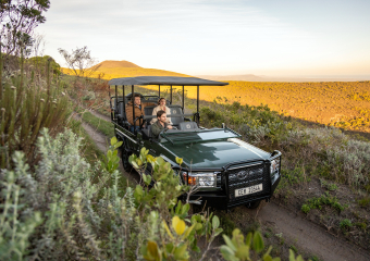 grootbos-web-superbloom-flower-safari.jpg
