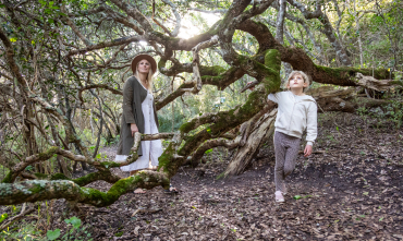 grootbos-web-kids-explorer-experiences-forest-walks.jpg