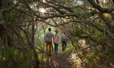 web-grootbos-villas-wellness-wellbeing-regenerative-experiences-ancient-forests.jpg