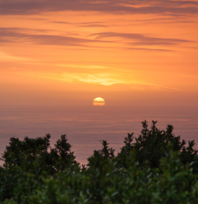 Grootbos After Sunset Thumbnail