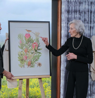 Gareth Williams Grootbos Florilegium-4666.jpg