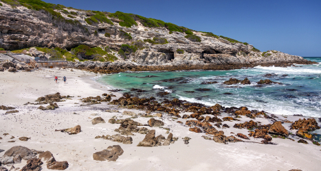 web-grootbos-wellness-wellbeing-gallery-beach-walks.jpg