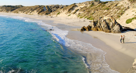 web-grootbos-experience-coastal-safari-walk-01.jpg