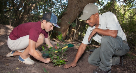 web-grootbos-foundation-future-trees-planting-01.jpg