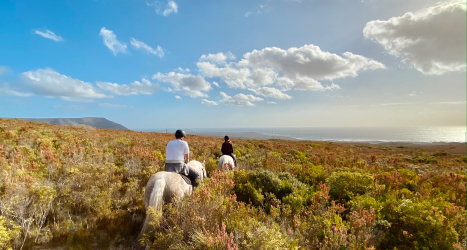 web_grootbos_romantic_horse_backride_erica_irregularis_couple.jpg