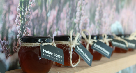 Grootbos-Experiences-honey.jpg