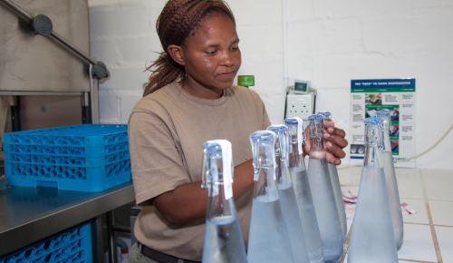 web-grootbos-foundation-siyakhula-water-bottling-05.jpg