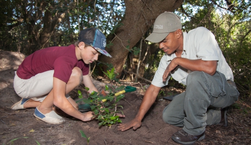 web-grootbos-foundation-future-trees-planting-01.jpg