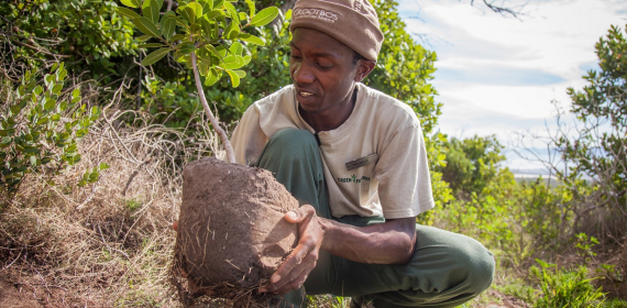 explore-grootbos-conservation.jpg