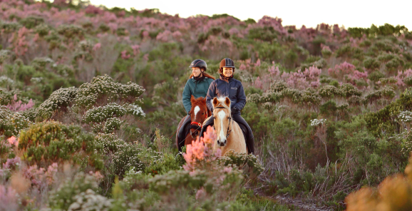 web-grootbos-horse-riding-reserve.jpg