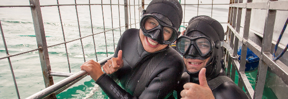 web-grootbos-experience-shark-cage-dive-06.jpg