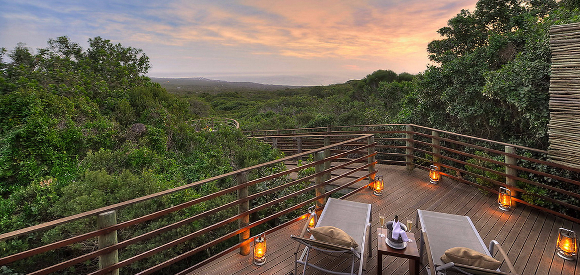 picraw89suite ten_d337156_p (1).jpg